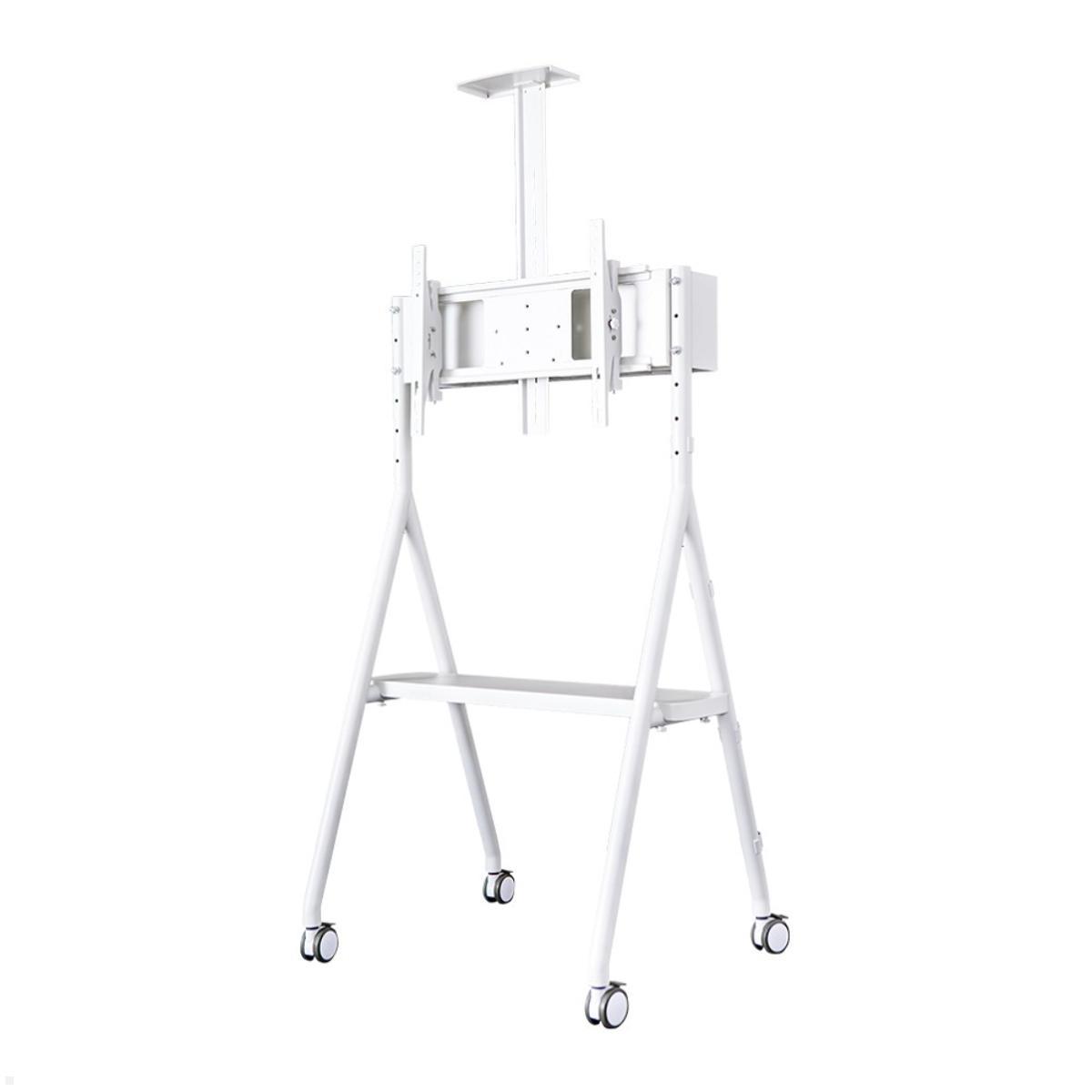 Neomounts NS-M1500WHITE mobiler Videokonferenz Ständer bis 65 Zoll, weiß, Halterung