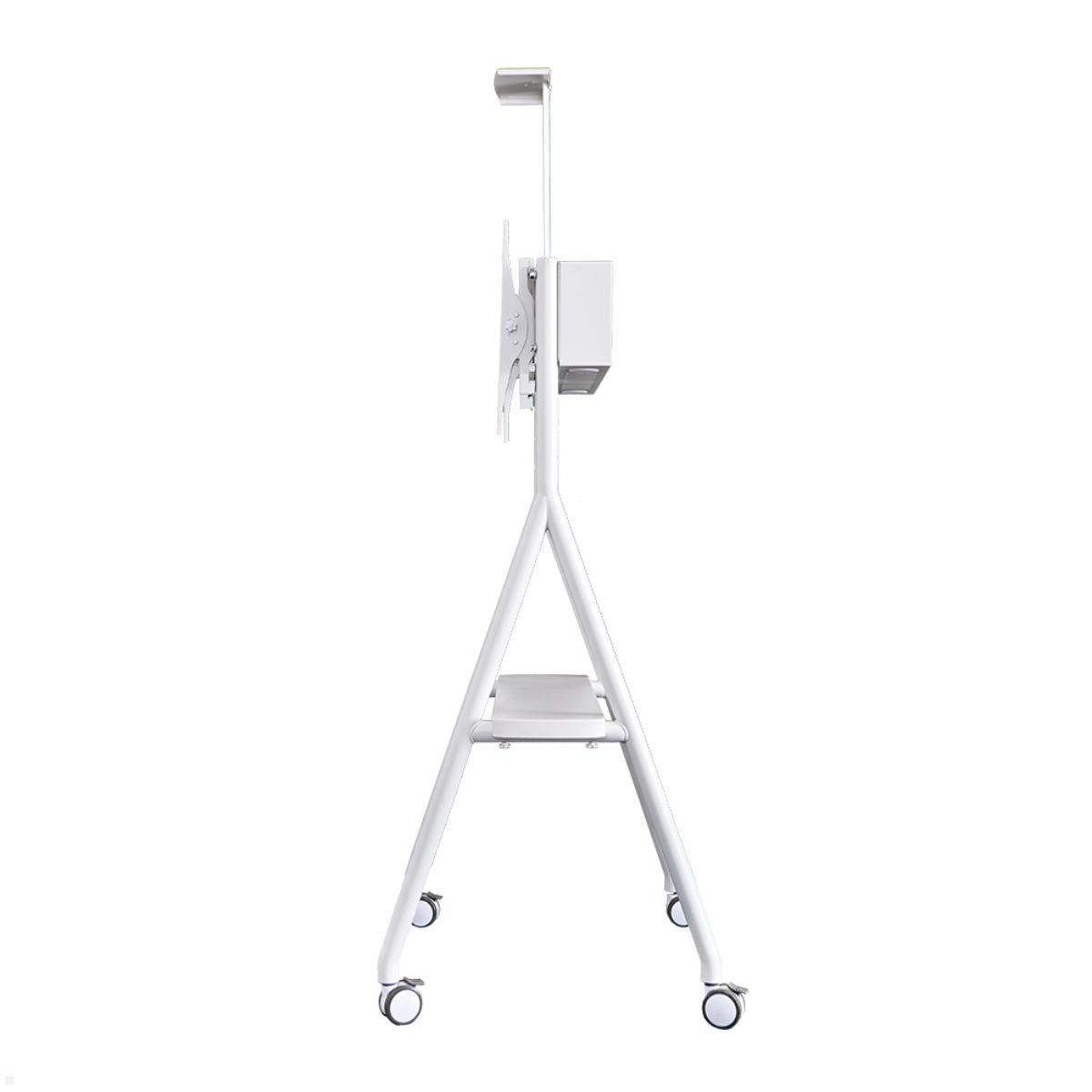 Neomounts NS-M1500WHITE mobiler Videokonferenz Ständer bis 65 Zoll, weiß, Seitenansicht