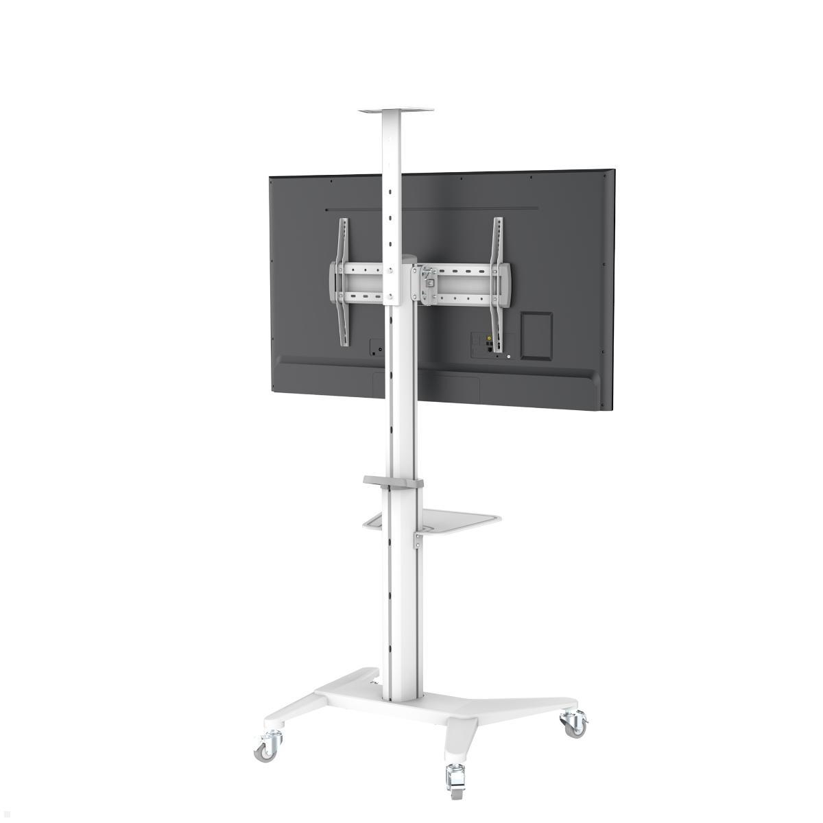 PureMounts PDS-0003C TV Ständer mit Rollen + Ablagen bis 70 Zoll, weiß Rückansicht