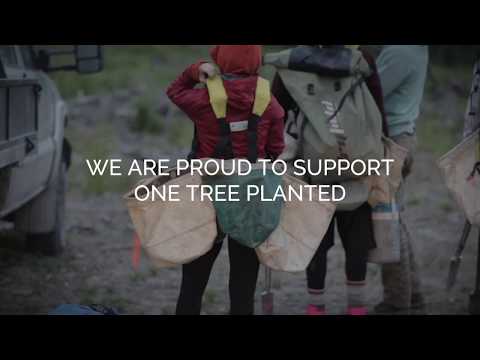 R-Go Tools Caparo Monitor Tischhalterung bis 26 Zoll, RGOVLCA4SI, silber/schwarz